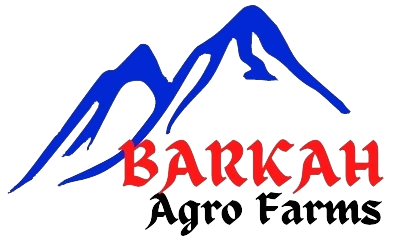 BARKAH AGRO FARMS